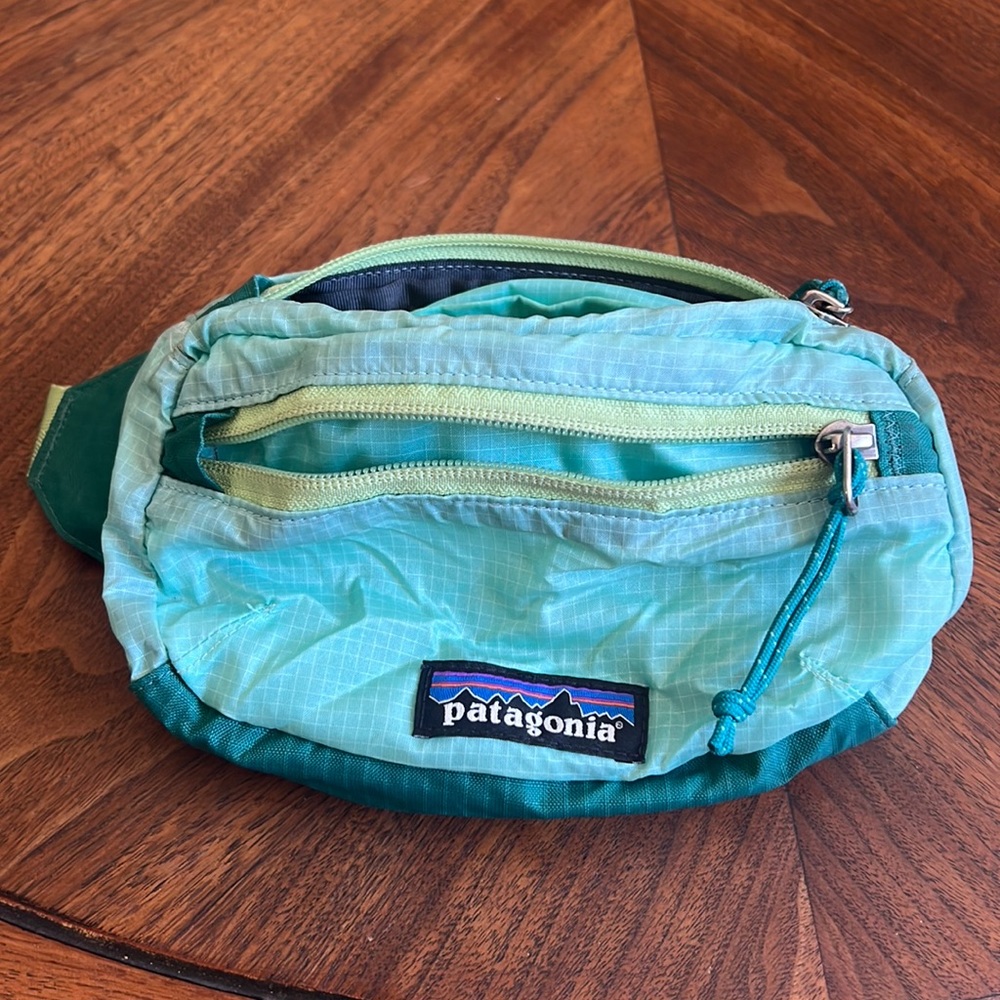Patagonia lightweight travel mini hip pack